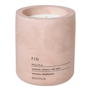 Świeczka sojowa o zapachu fig Blomus Fraga, 55 h