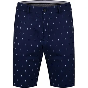 Kjus Mens Iver Printed Shorts 10'' Atlanta Blue/White 34