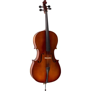 Valencia CE160G 4/4 Violoncello