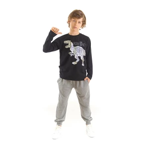 Mushi Robotrex Boys' T-shirt Gray Pants Set
