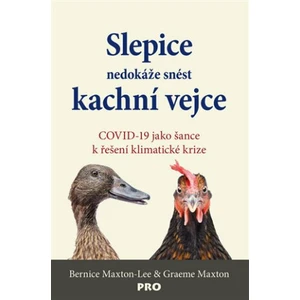 Slepice nedokáže snést kachní vejce - Graeme Maxton, Bernice Maxton-Lee