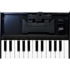 Roland K-25M