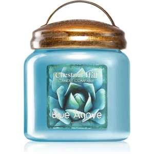 Chestnut Hill Blue Agave vonná svíčka 454 g