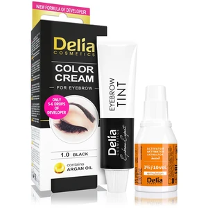 Delia Cosmetics Argan Oil farba na obočie odtieň 1.0 Black 15 ml