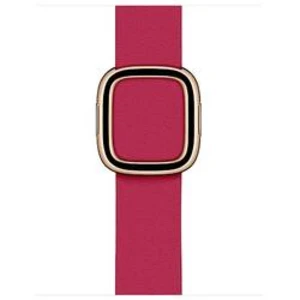 Apple Watch 40mm Raspberry Modern Buckle-Small