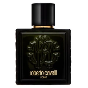 Roberto Cavalli Uomo toaletná voda pre mužov 100 ml