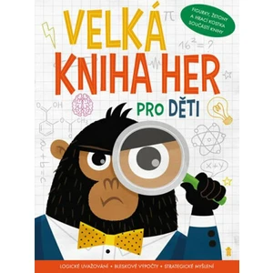 Velká kniha her pro děti
