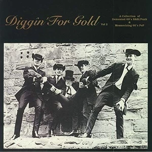 Various Artists Diggin’ For Gold Volume 2 (LP)