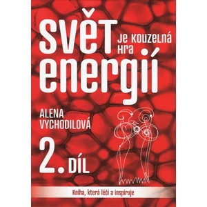 Svět je kouzelná hra energií 2. - Alena Vychodilová