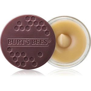 Burt’s Bees Lip Scrub peeling na rty s vyživujícím účinkem 7.08 g