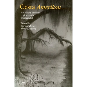 Cesta Amerikou - Pegues Dagmar, Kynčlová Tereza