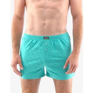 Men's shorts Gino green