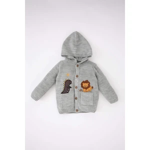 DEFACTO Baby Boy 3D Hooded Knitwear Cardigan