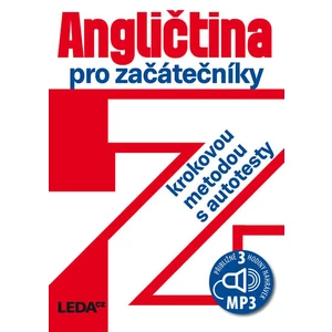Angličtina pro začátečníky - Ludmila Kollmannová