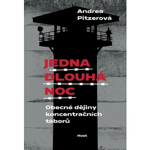 Jedna dlouhá noc - Andrea Pitzerová