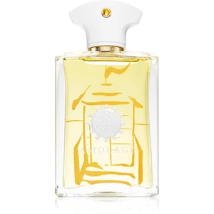 Amouage Beach Hut parfémovaná voda pro muže 100 ml