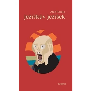 Ježíškův ježíšek - Káňa Aleš