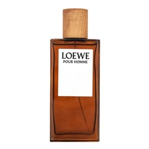 Loewe Pour Homme woda toaletowa dla mężczyzn 100 ml