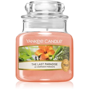 Yankee Candle The Last Paradise świeca zapachowa 104 g