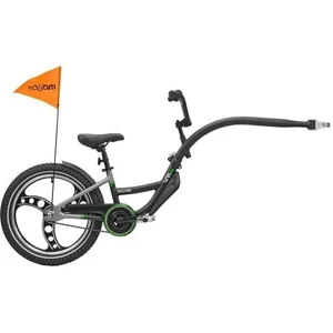 KaZAM Link Schwarz 2020