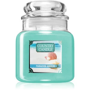 Country Candle Paradise Breeze vonná svíčka 453 g