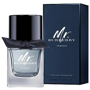 Burberry Mr. Burberry Indigo toaletní voda pro muže 50 ml