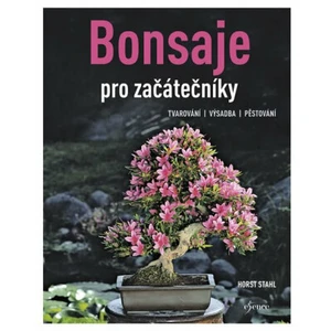 Bonsaje pro začátečníky - Horst Stahl