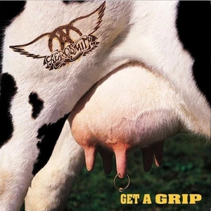 Aerosmith Get A Grip (2 LP)