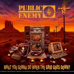 Public Enemy What You Gonna Do When The Grid Goes Down? Music CD