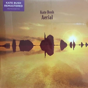 Kate Bush Aerial (2 LP) Nové vydanie