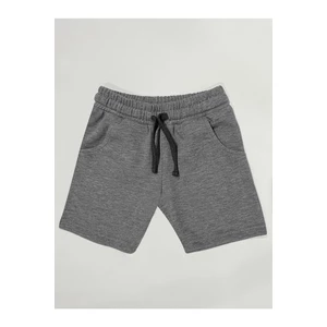 Denokids Basic Boys' Gray Shorts