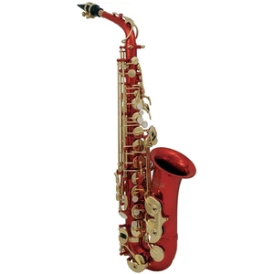 Roy Benson AS-202R Alto saxophone