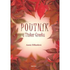 Poutník u Tinker Creeku - Dillardová Annie