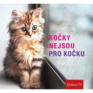 Kočky nejsou pro kočku