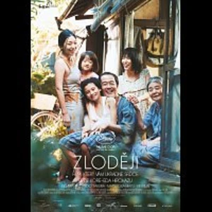 Zloději - DVD