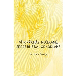 Vítr přichází nečekaně, srdce bije dál odhodlaně - Jaroslav Brož