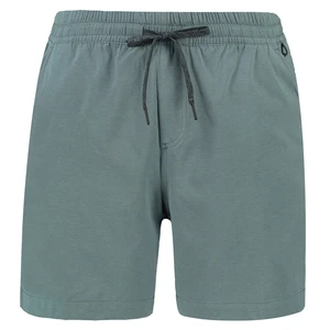 Men's shorts Quiksilver TAXER HEATHER AMPHIBIAN 18