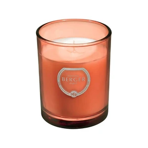 Maison Berger Paris Vonná svíčka Olymp měděná Intenzivní třpyt Exquisite Sparkle (Candle) 180 g