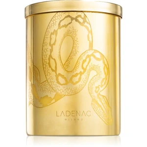 Ladenac Africa Serpiente Temptation vonná svíčka 350 g