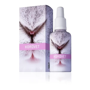 Energy Korovet 30 ml