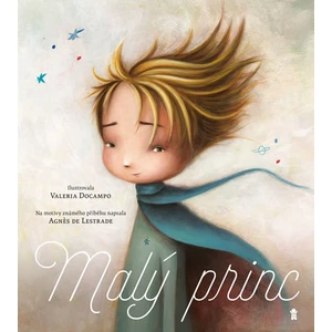 Malý princ - de Lestrade Agnes, Docampo Valeria