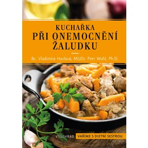 Kuchařka při onemocnění žaludku - Vladimíra Havlová