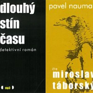 Dlouhý stín času -- detektivní román