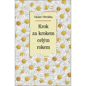 Krok za krokem celým rokem - Václav Větvička