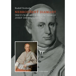 Nebroušený diamant - Svoboda Rudolf