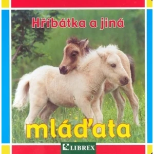 Hříbátka a jiná mláďata