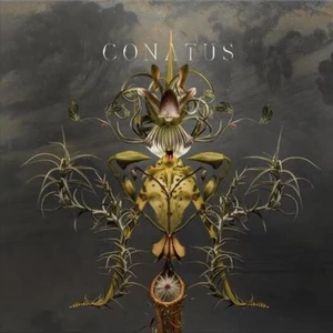 Joep Beving Conatus (2 LP)