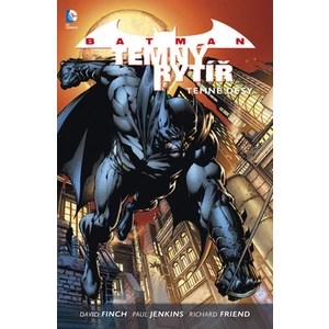 Batman: Temný rytíř 1: Temné děsy - David Finch