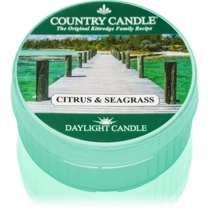 Country Candle Citrus & Seagrass čajová svíčka 42 g