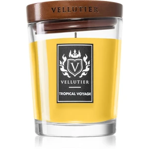 Vellutier Tropical Voyage vonná svíčka 225 g